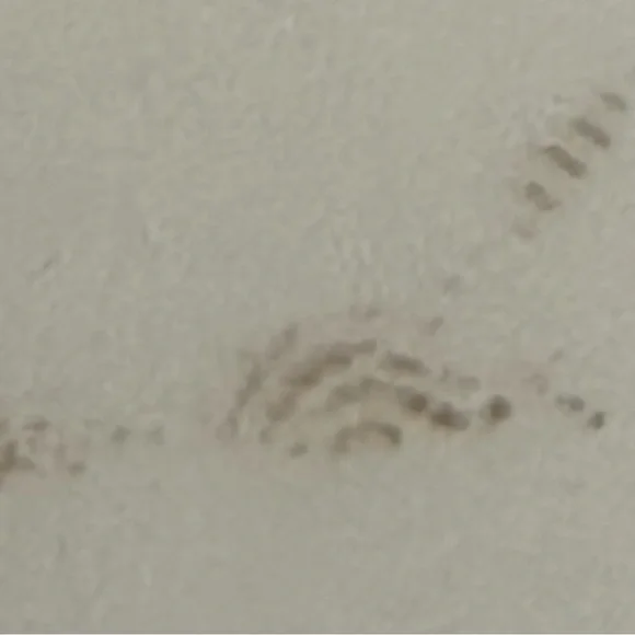 VINTAGE/ANTIQUE T&V LIMOGES FRANCE GOLD RIM WITH FLORAL PLATE - Picture 7 of 7